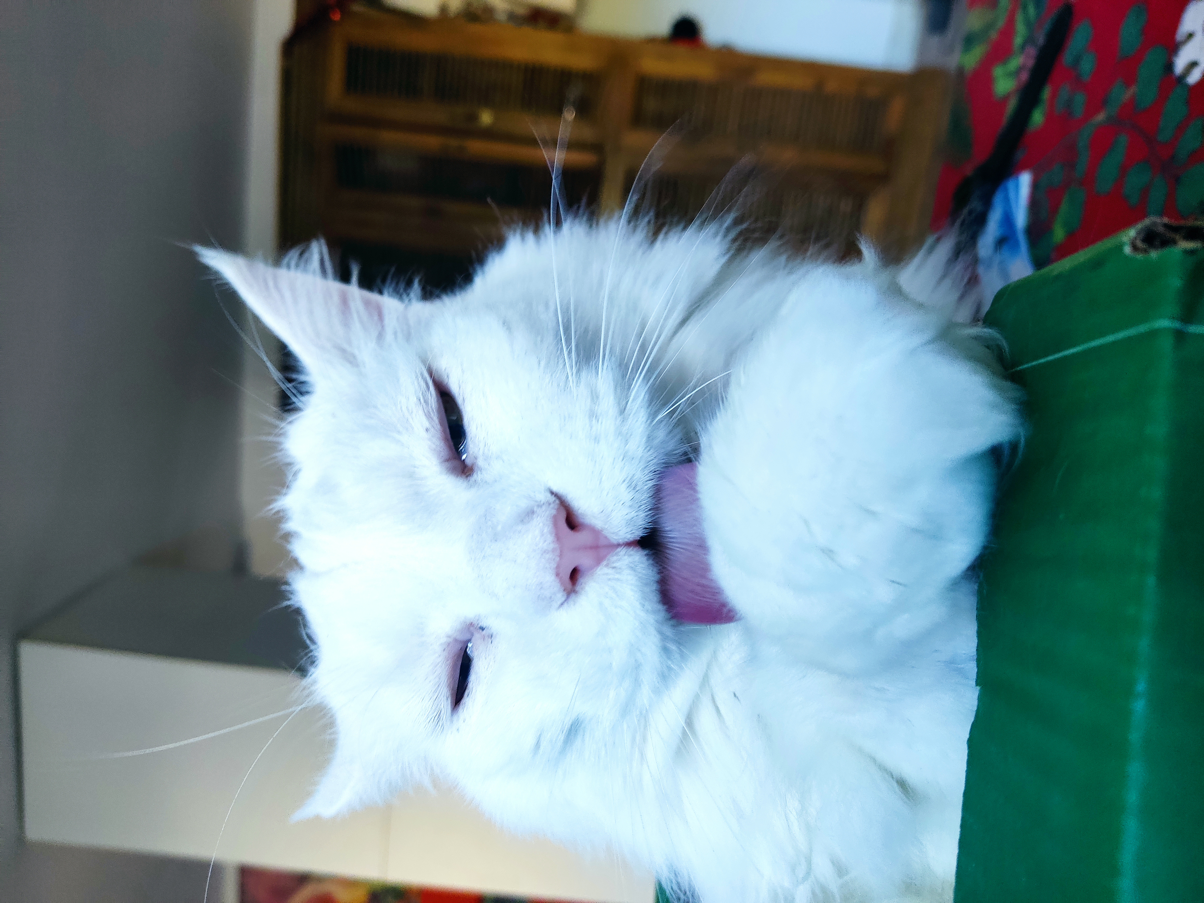 694e8bd494f4d IMG 20251226 142005