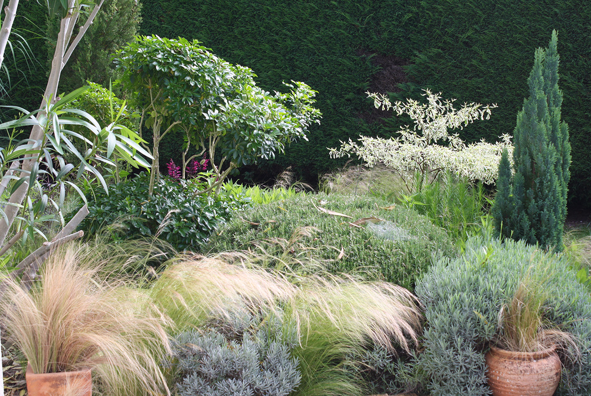 6793f1ad40ca3 cornus