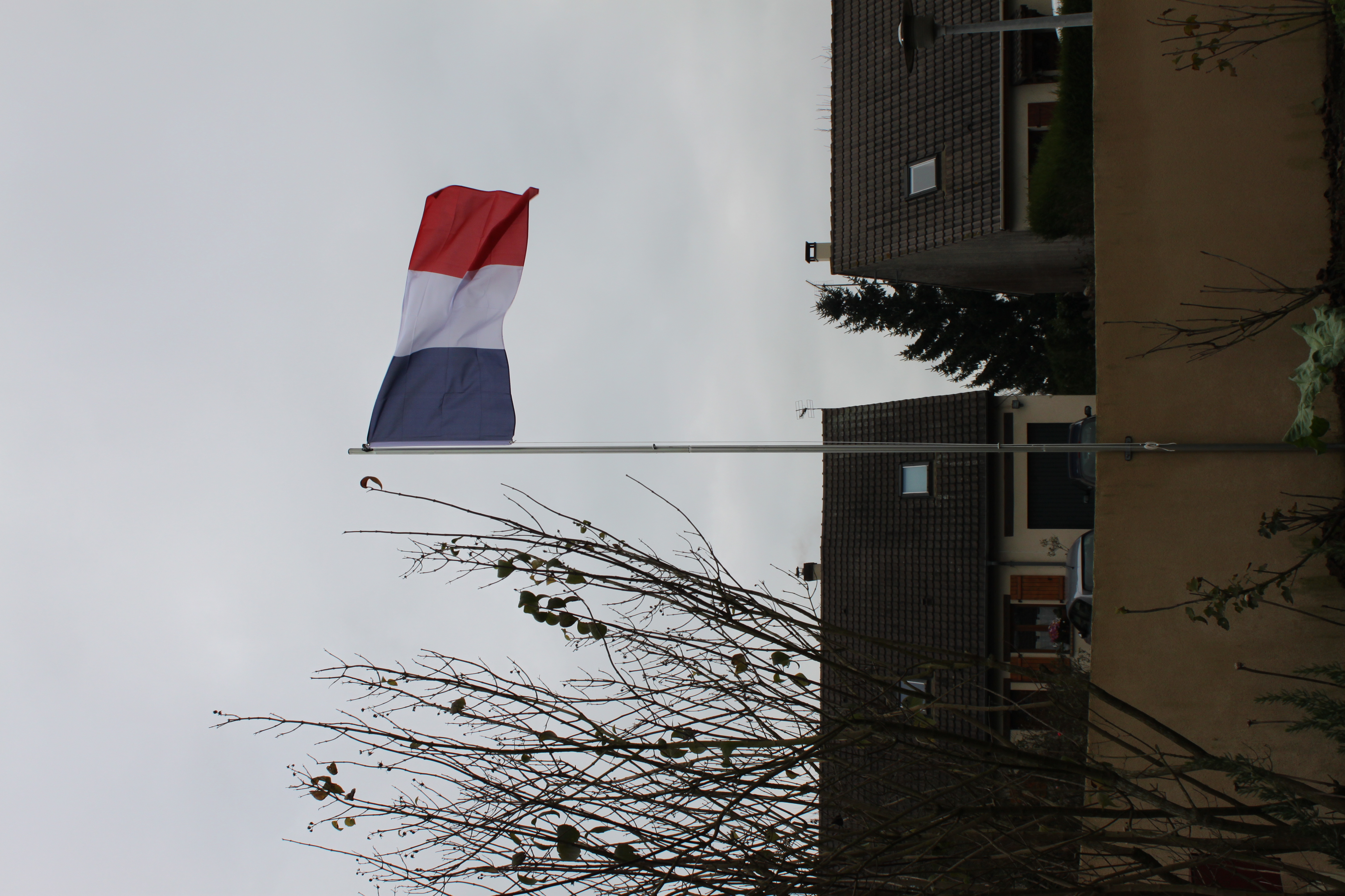 676433394075d IMG 1798