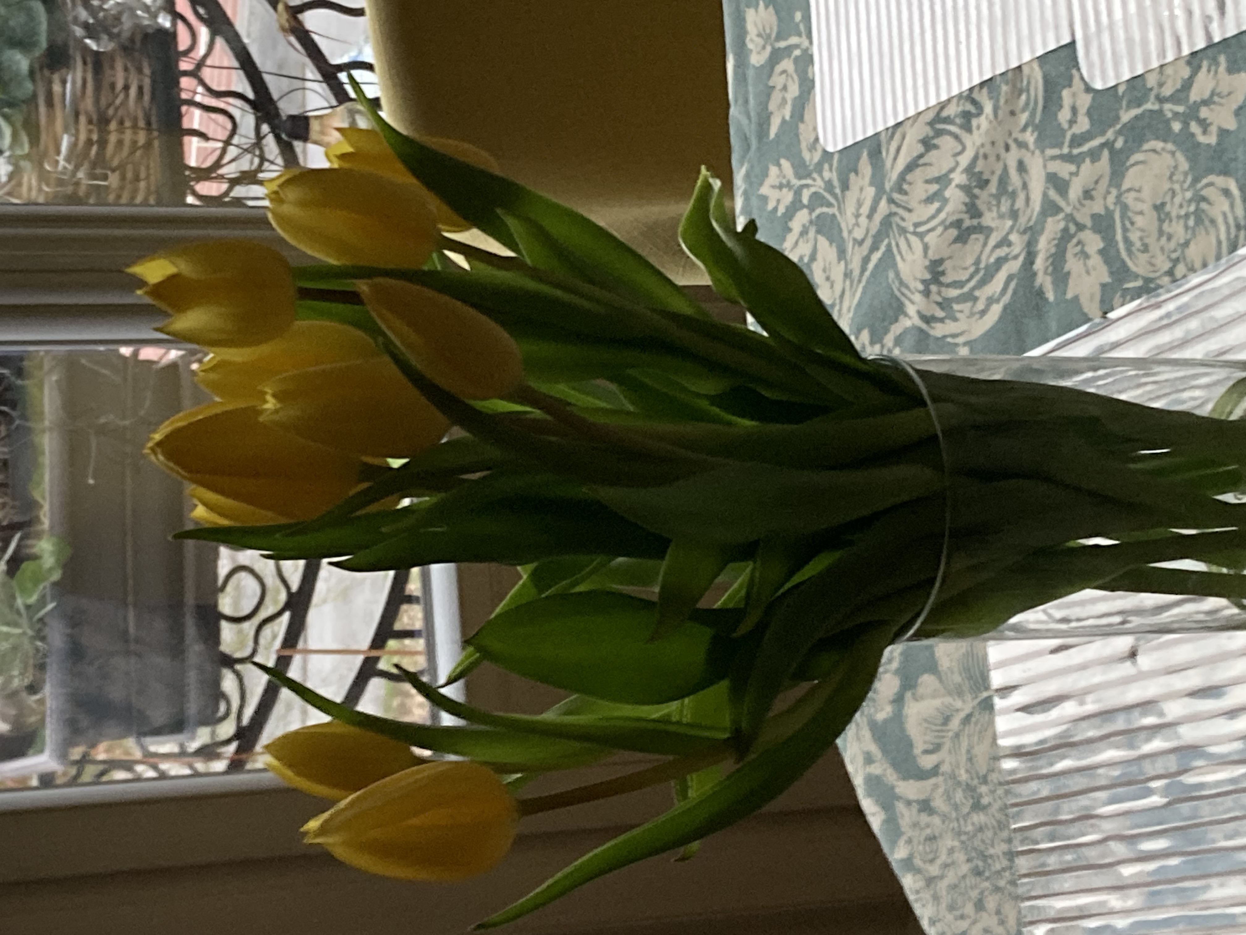 69da00229ee0c IMG 1390