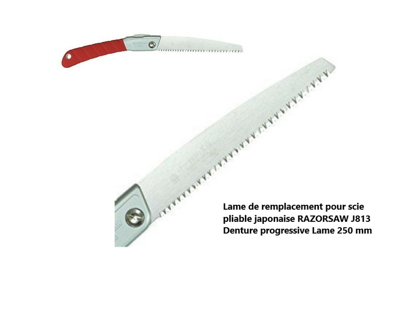 Lame pour scie RAZORSAW J813 Denture progressive 250mm