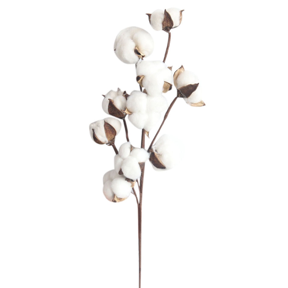 Fleurs-de-coton-s-ch-es-naturellement-plantes-artificielles-branche-florale-pour-la-d-coration-de