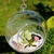 Terrarium-boule-Globe-forme-clair-verre-suspendu-Vase-fleurs-plantes-conteneur-ornement-micro-paysage-bricolage-d