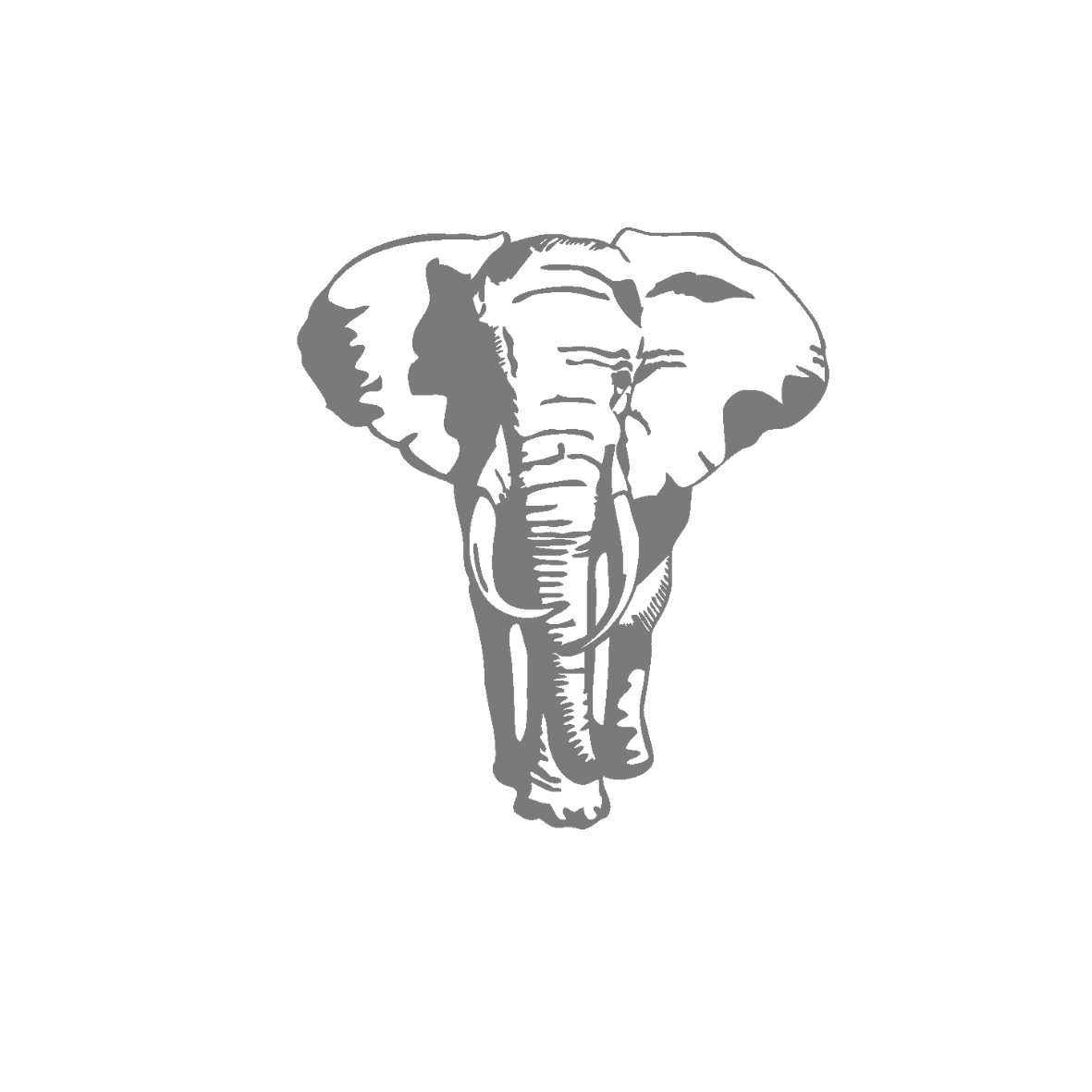 grand elephant motif thermocollant . jpg