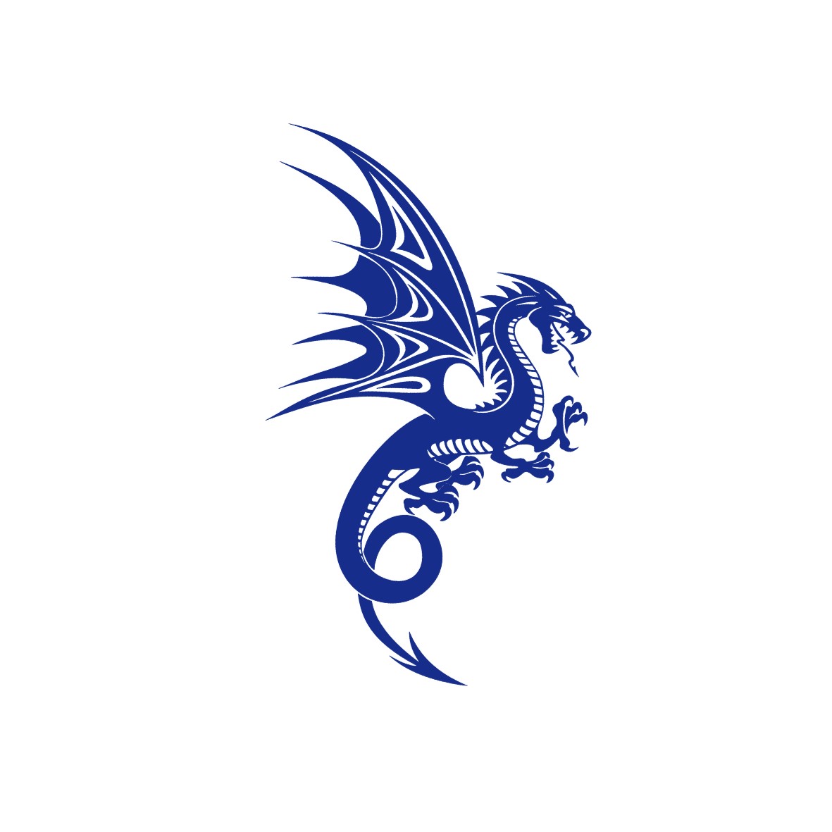 dragon aile motif thermocollant