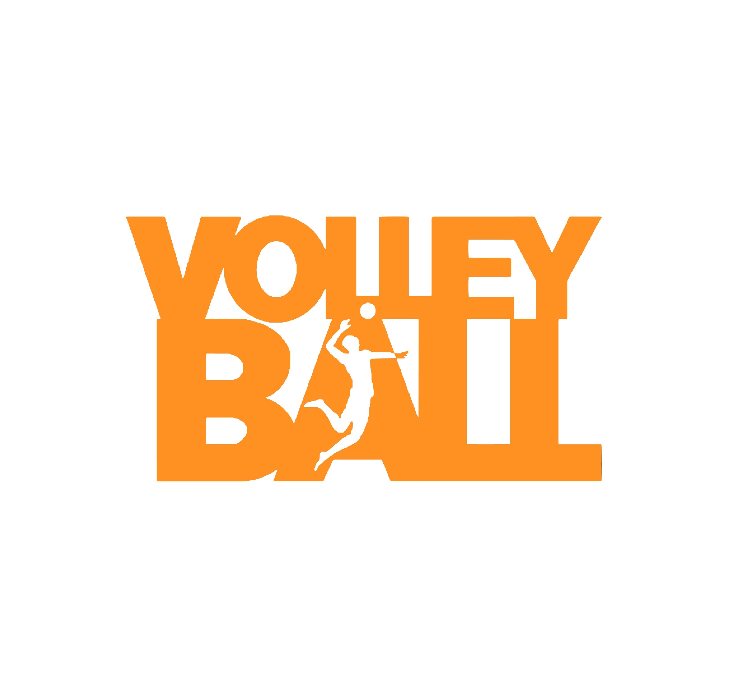 volley ball motif thermocollant
