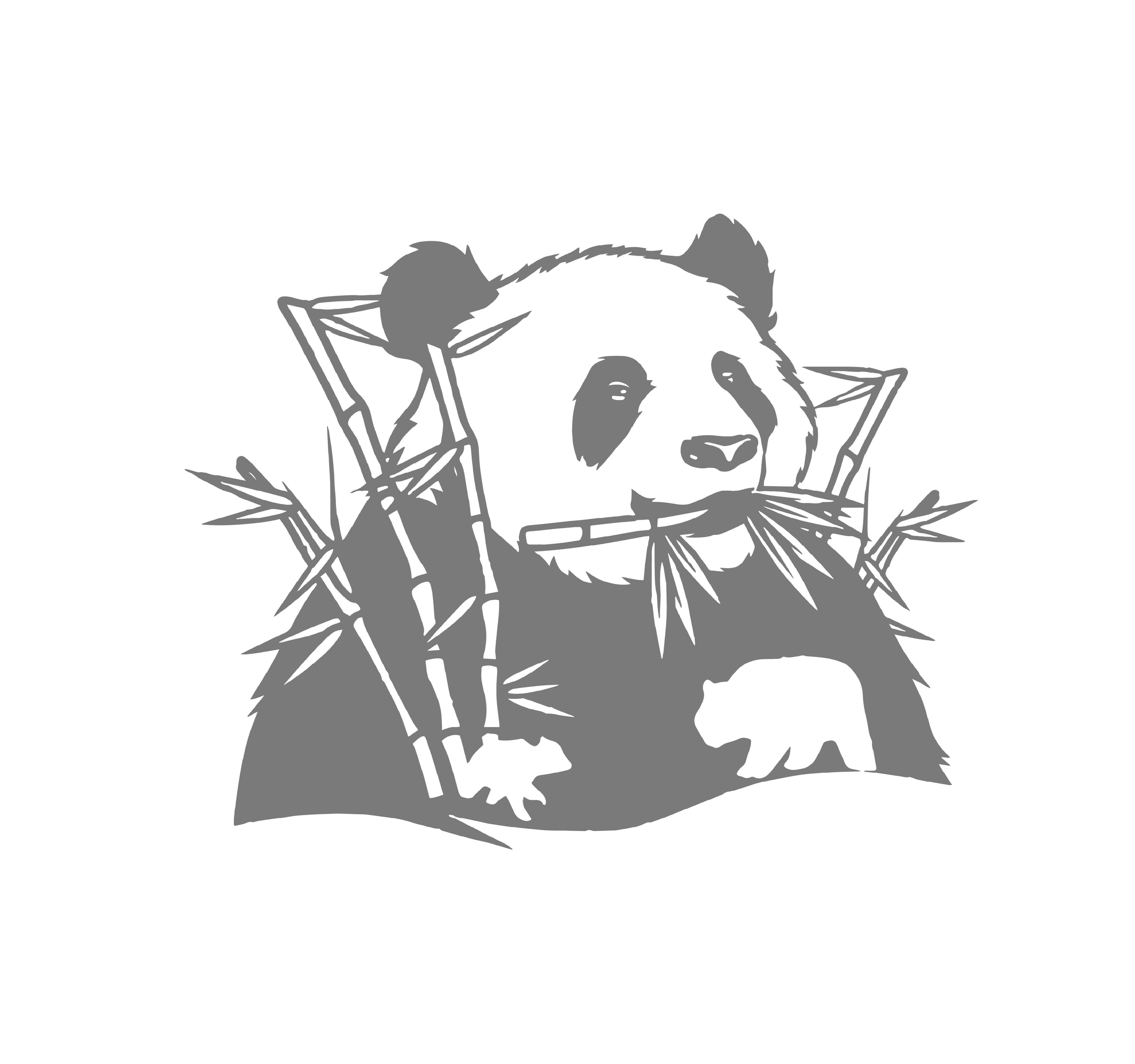 Panda Mange bambou motif thermocollant