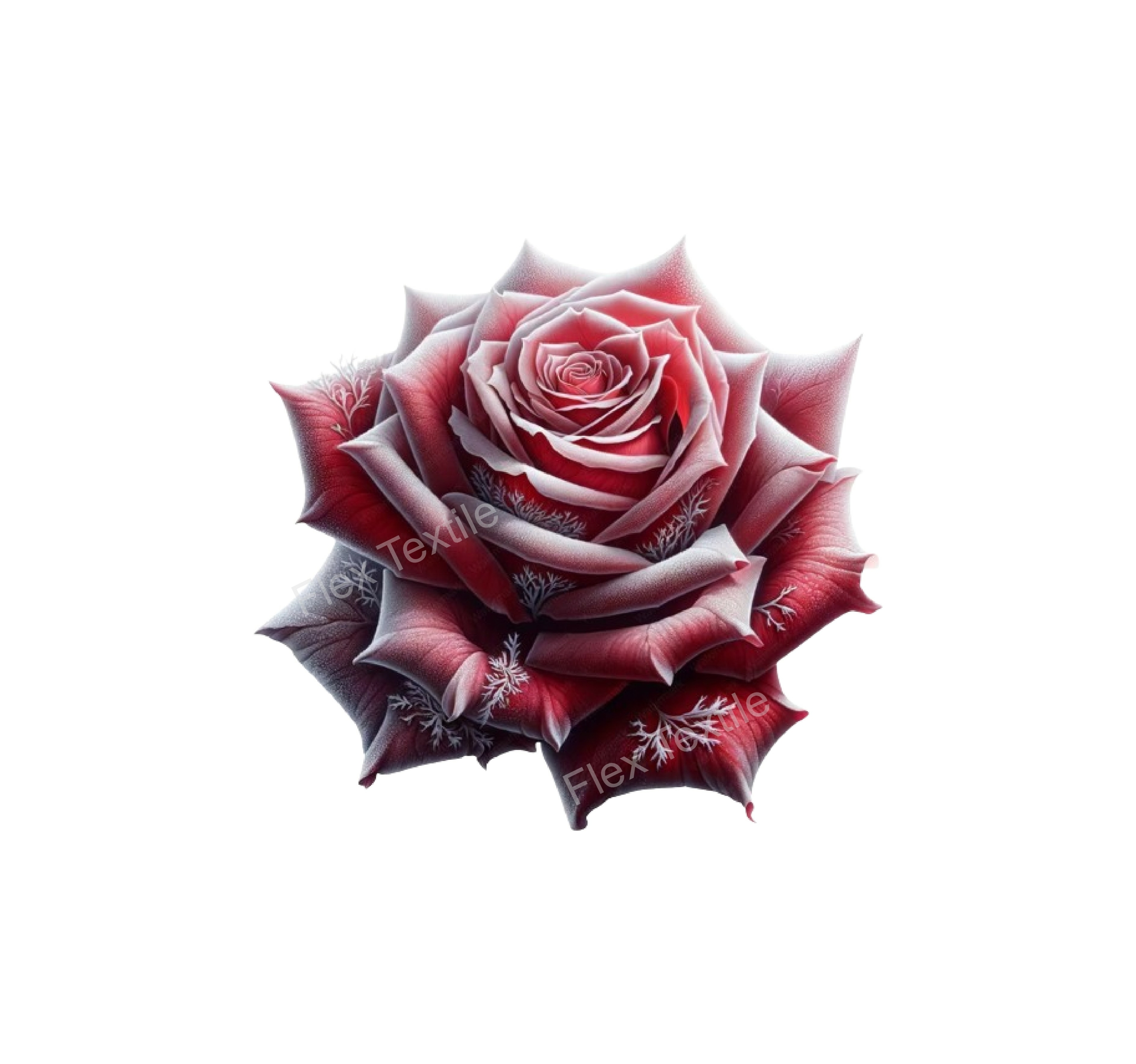Rose givrée impression dtf flex textile