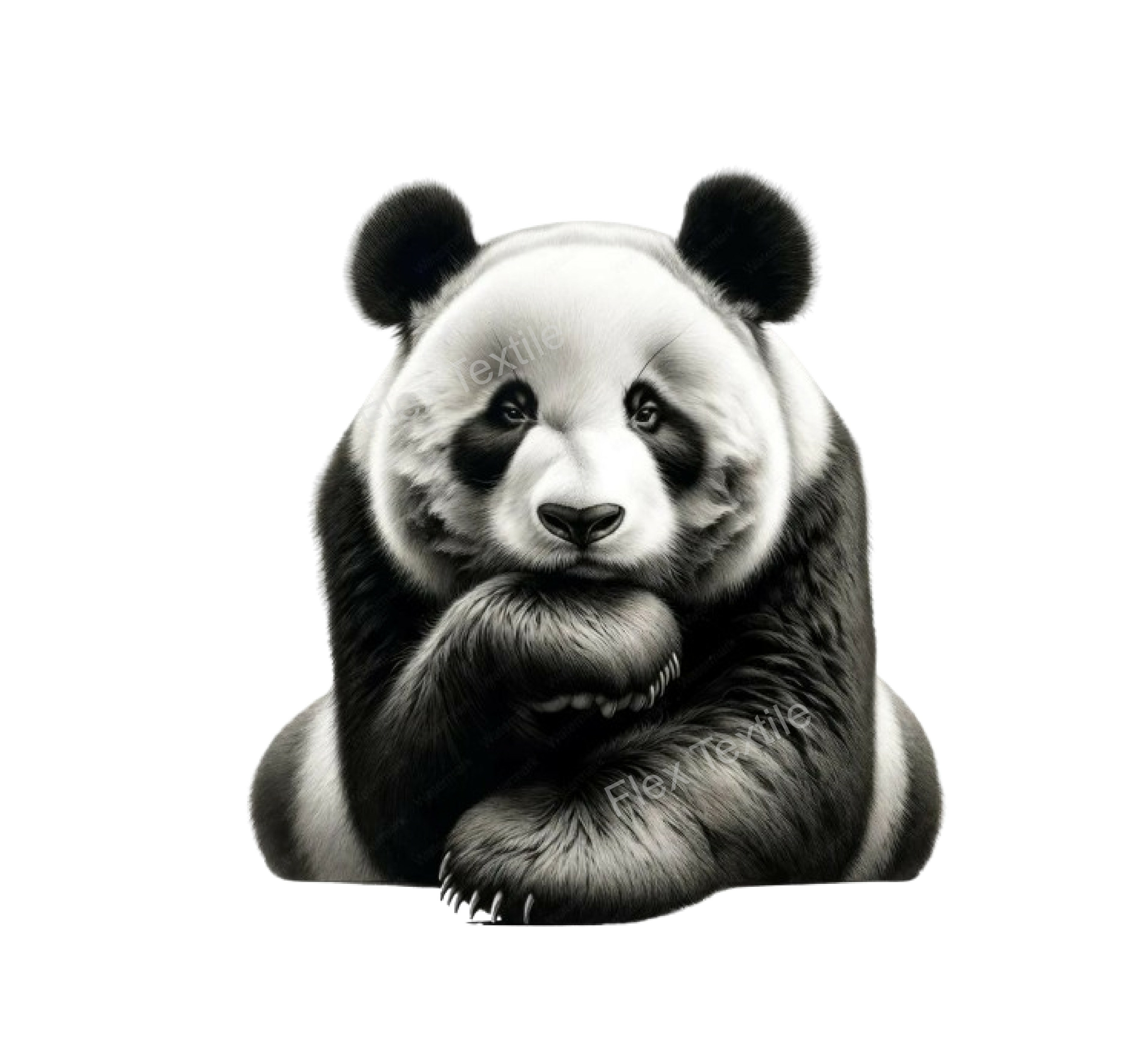 Panda pose Impression DTF Flex textile