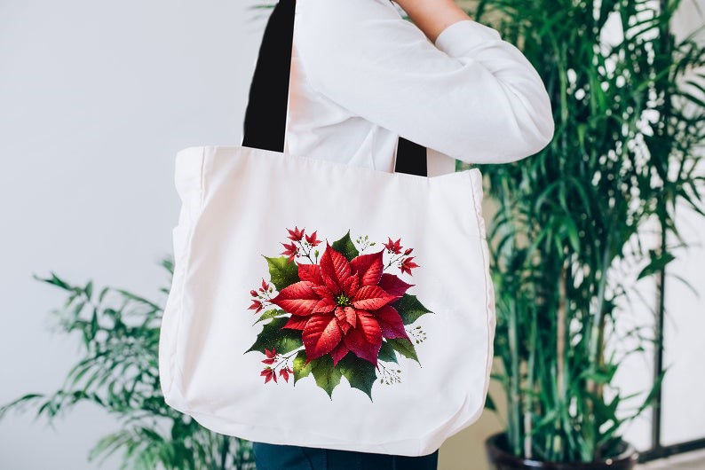 Fleur Poinsettia2