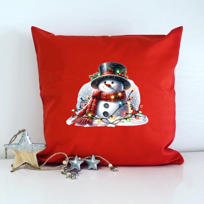 Bonhomme Neige Lumières2