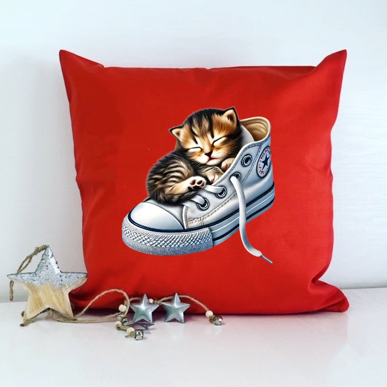 Chaton Dort Chaussure2