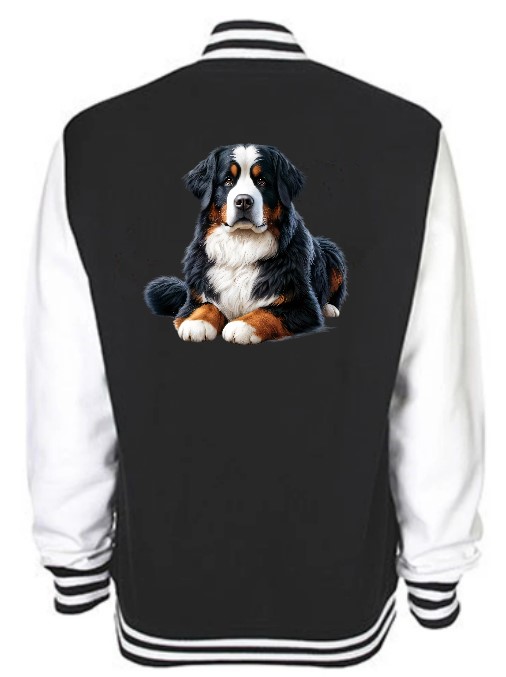 Chien Bouvier Bernois1