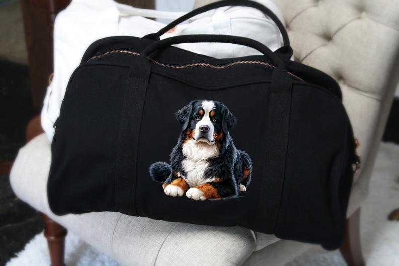Chien Bouvier Bernois2