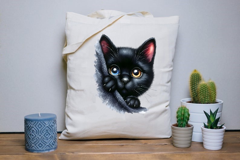 Tête Chat Noir2