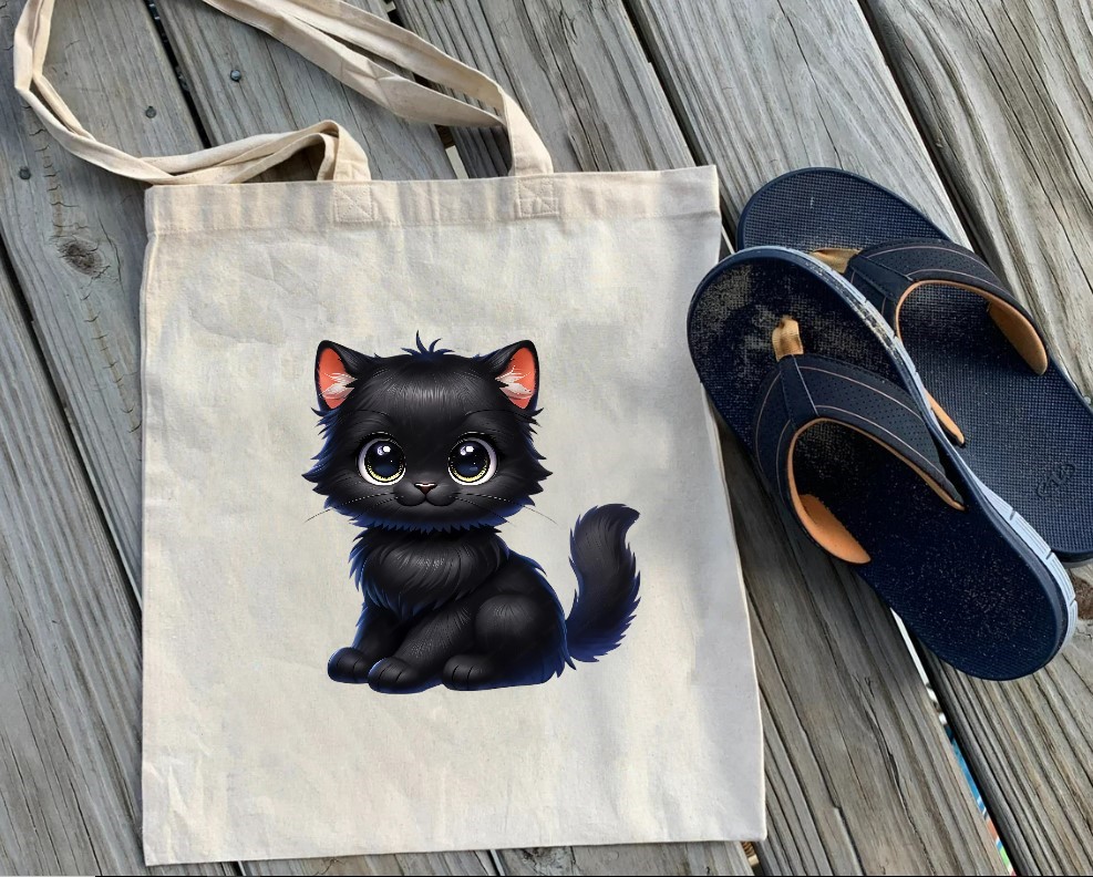 Chat Noir Assis2