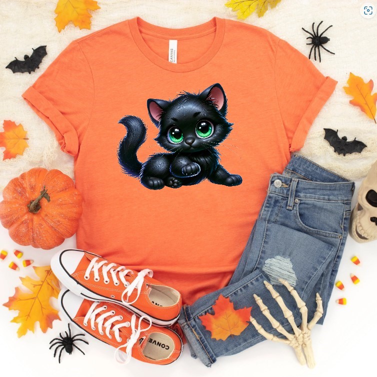 Chat Noir Allongé1
