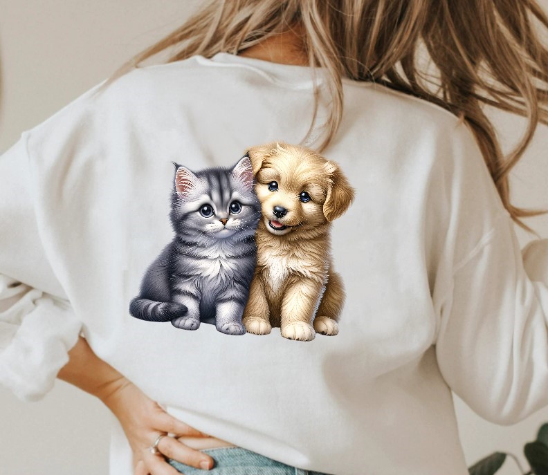 Chat Chien Assis1