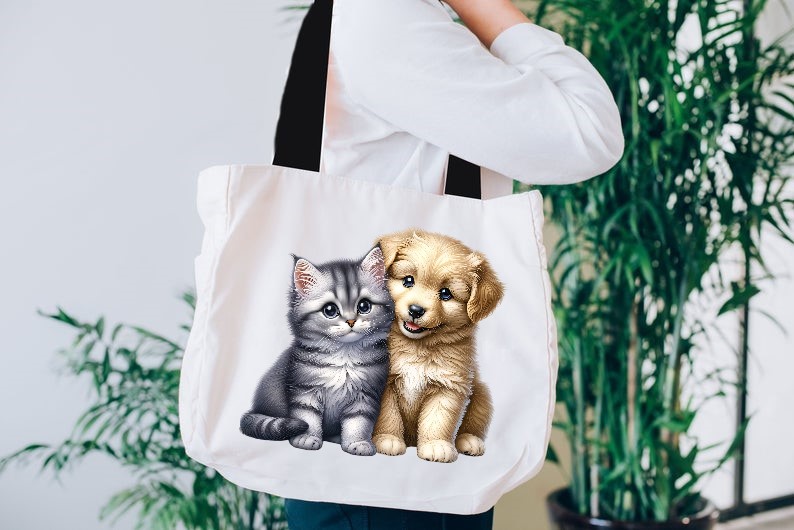 Chat Chien Assis2