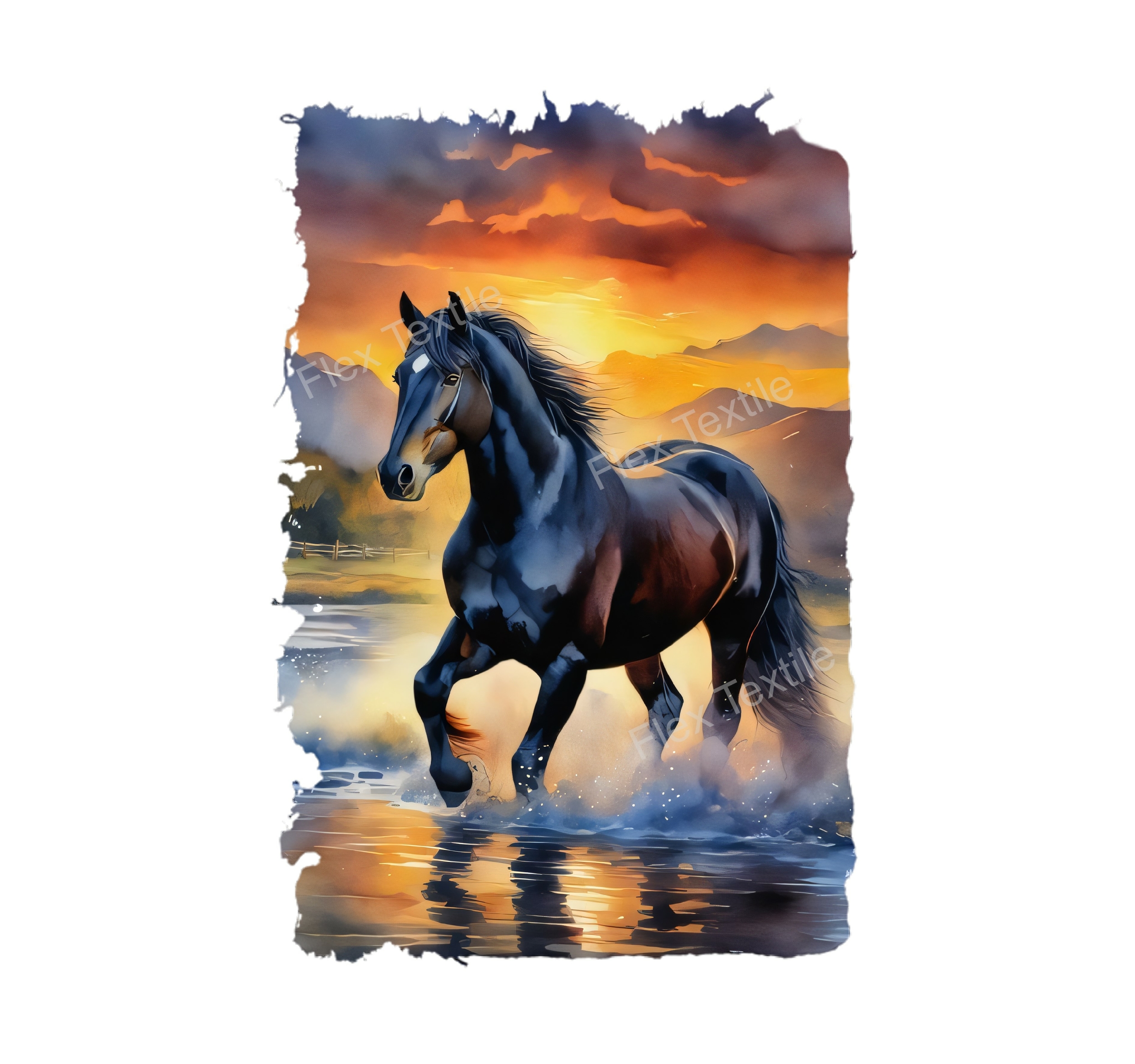 cheval eau couché soleil transfert thermocollant impression dtf flex textile