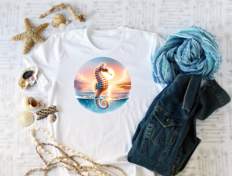 Hippocampe Mer Couché Soleil1