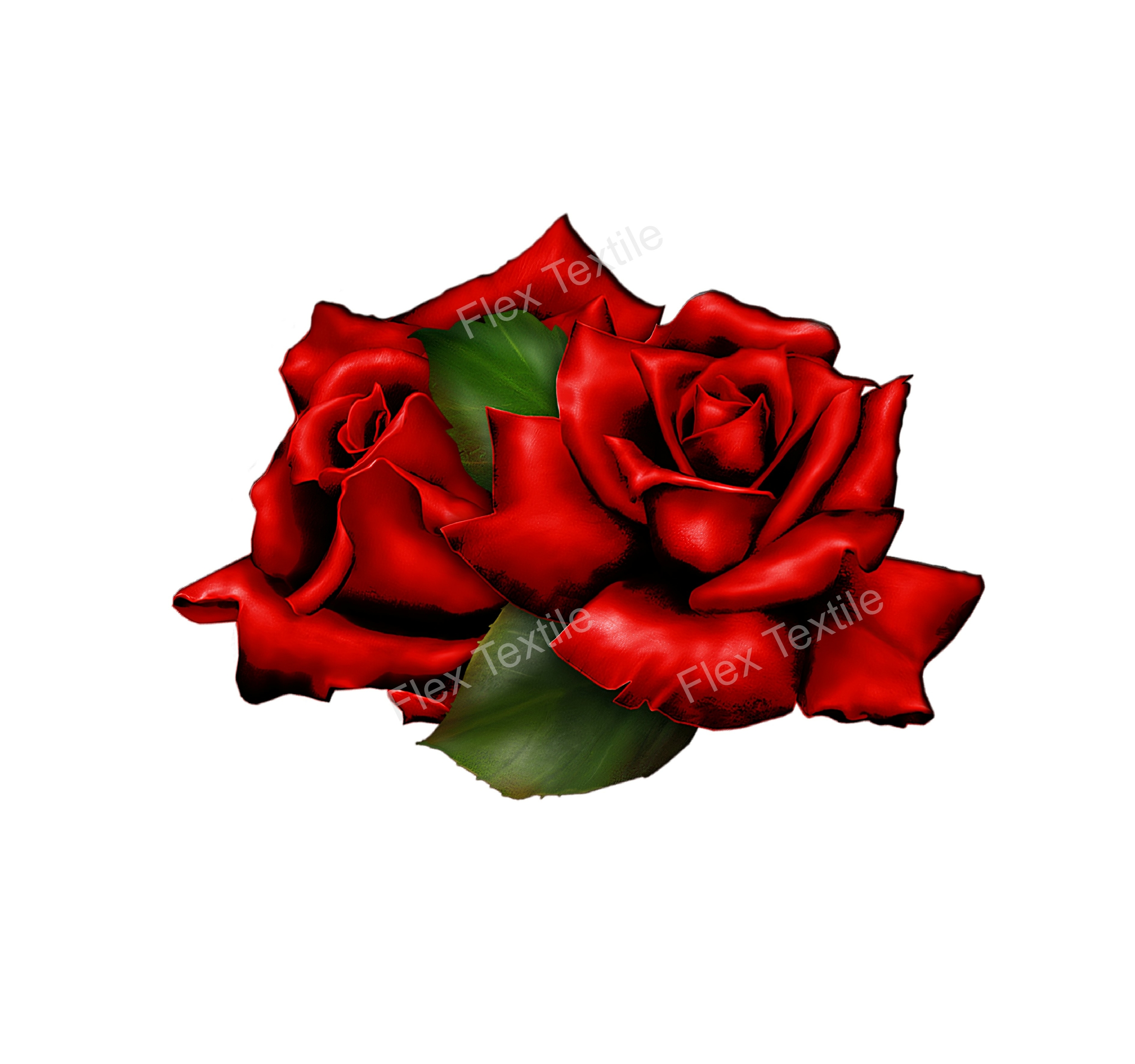 deux roses transfert thermocollant impression dtf flex textile