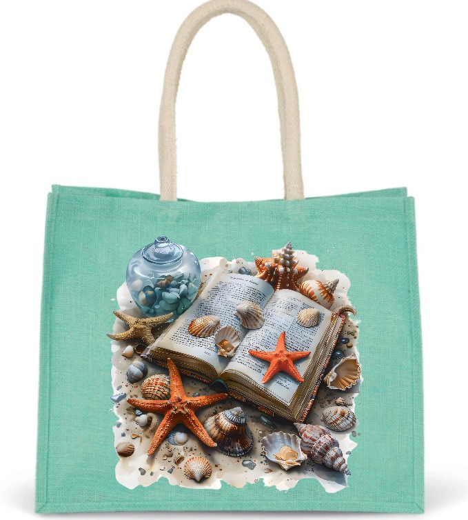 Livre Plage Coquillages2
