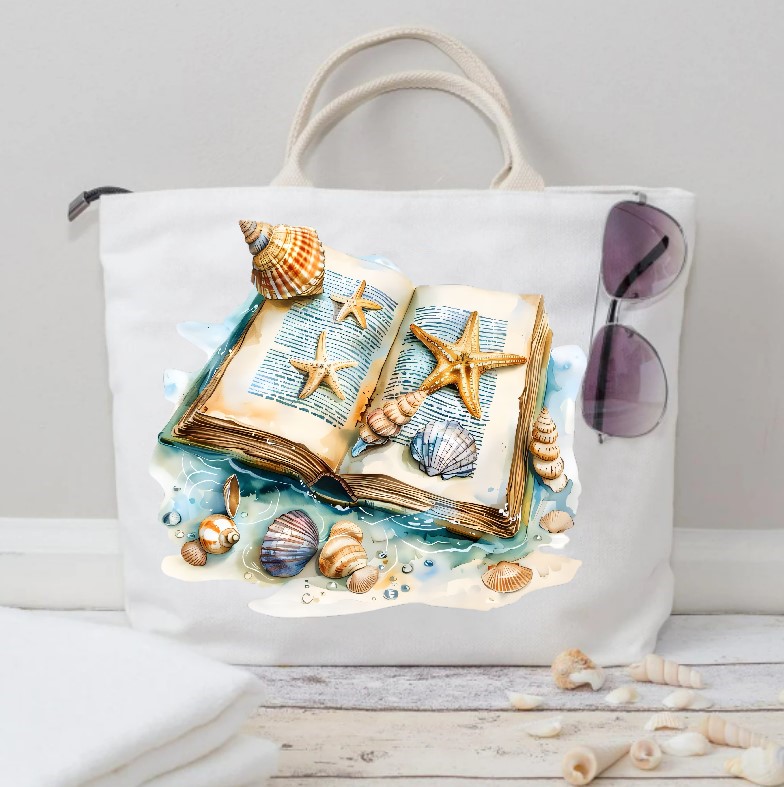 Livre Coquillages2