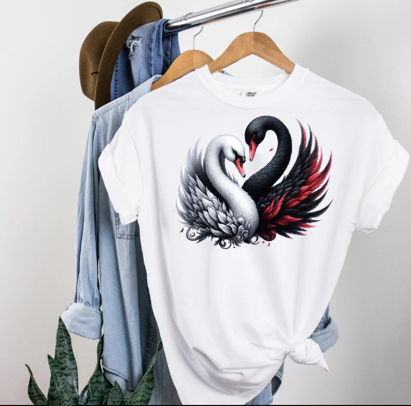 Cygnes Blanc et Noir1