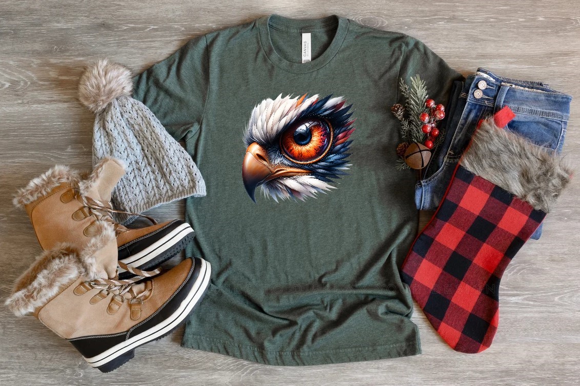 Regard Aigle Oeil1