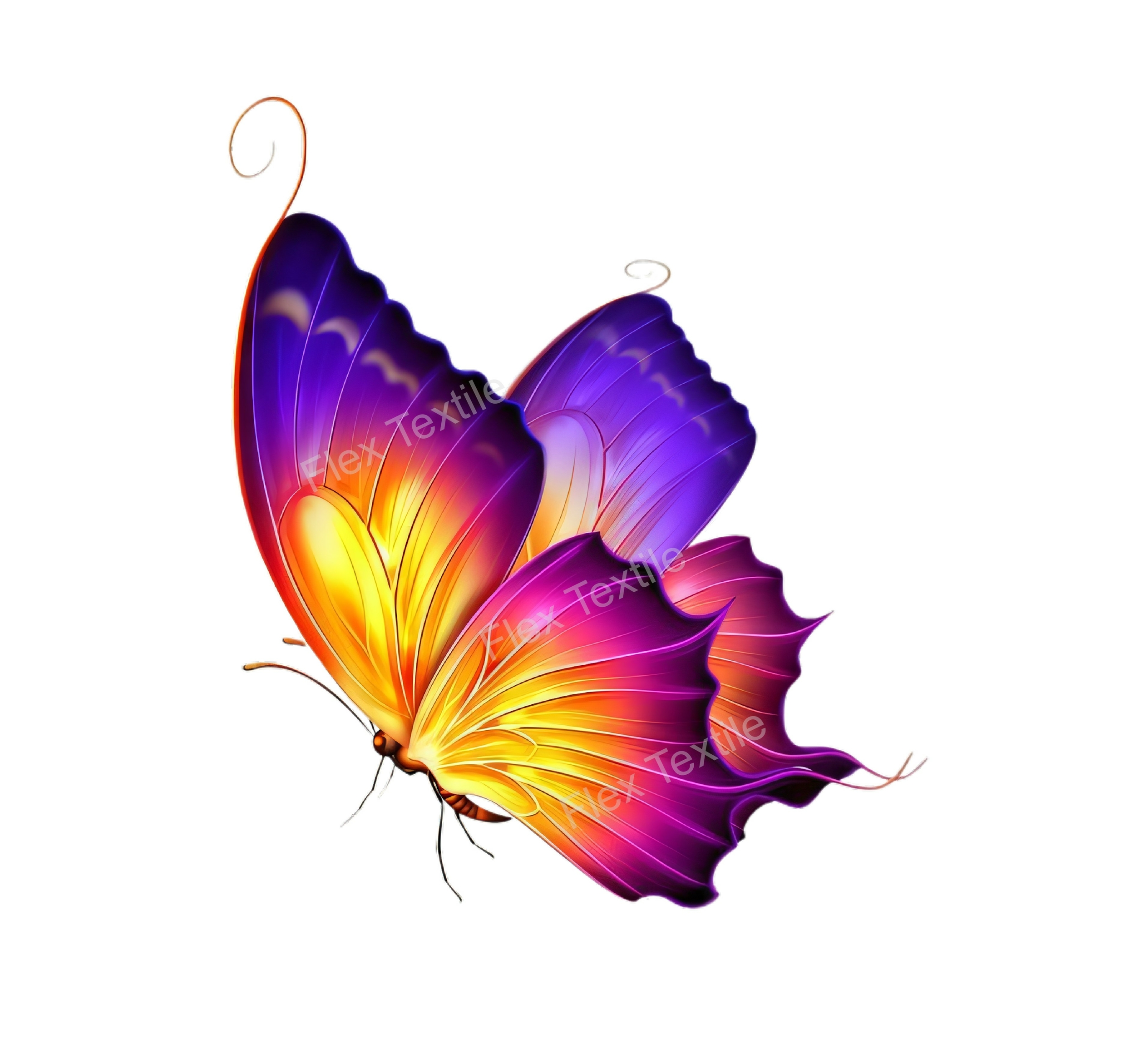 papillon coloré transfert thermocollant impression dtf flex textile