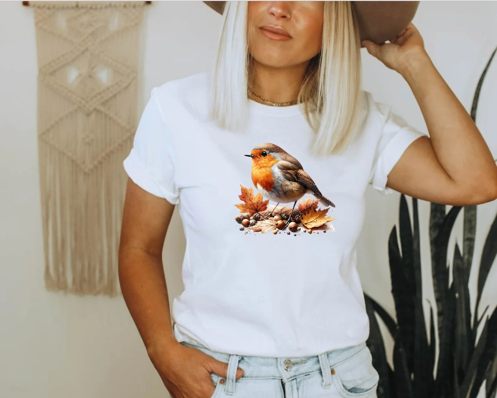 Oiseau Rouge Gorge1