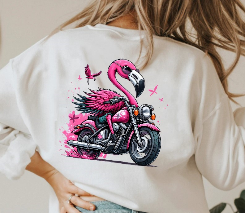 Flamant Moto1