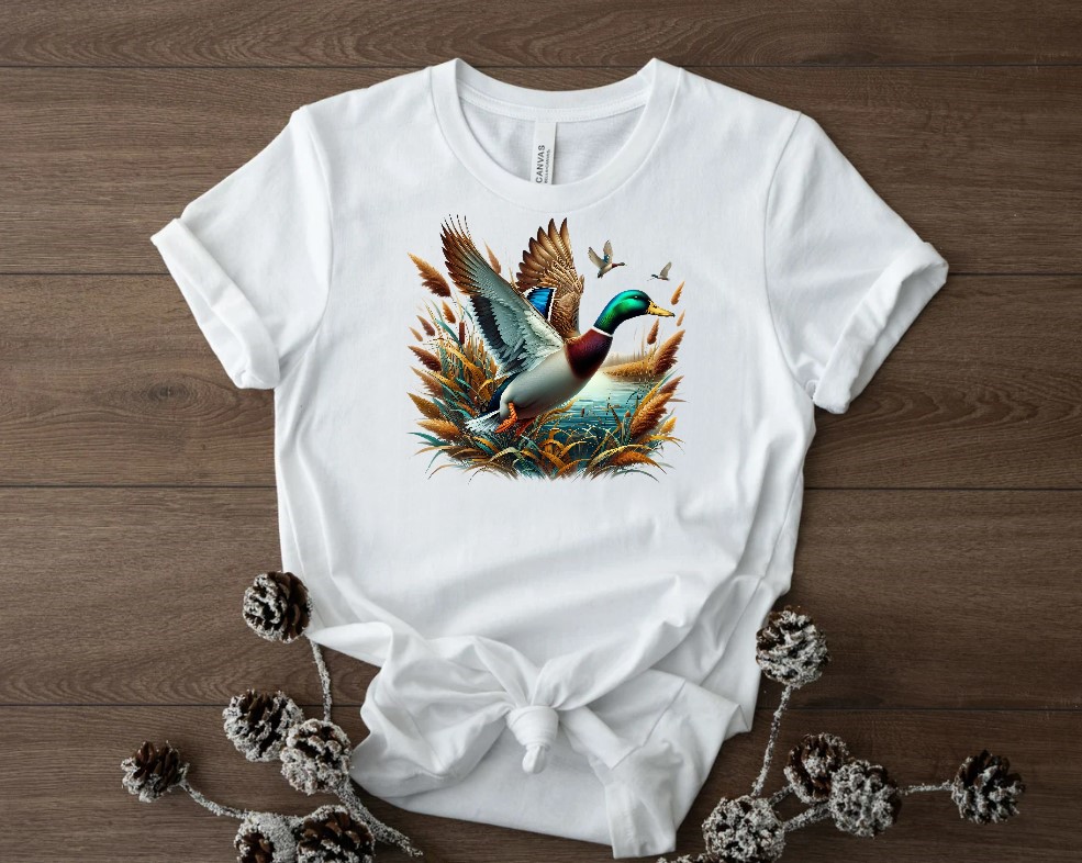 Canard Colvert1