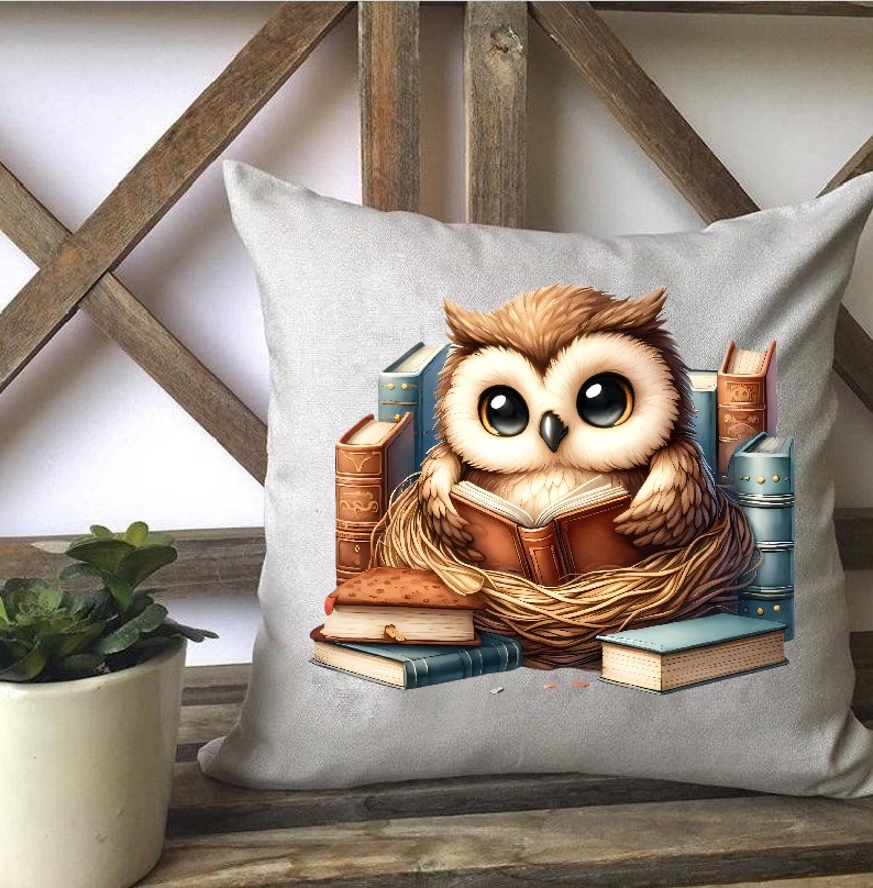 Hibou Livres2