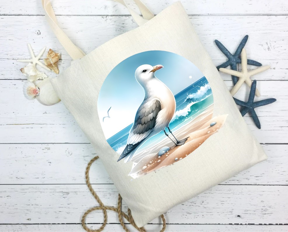 Mouette Plage2