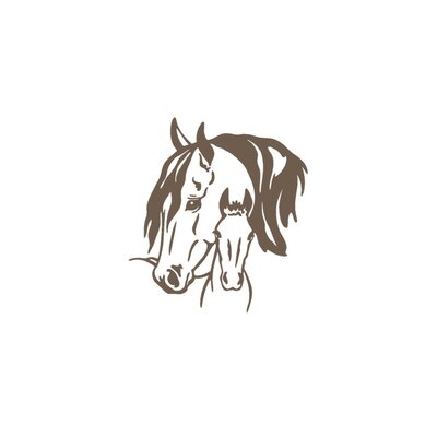cheval poulain motif thermocollant