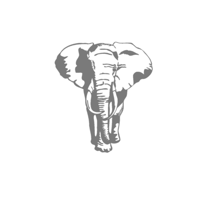 grand elephant motif thermocollant . jpg