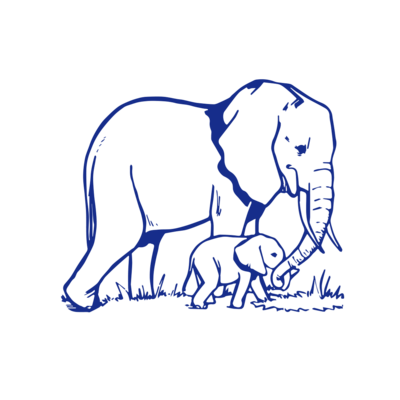 famille elephanst motif thermocollant . jpg