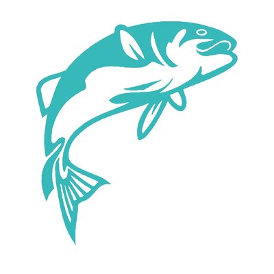 poisson motif thermocollant