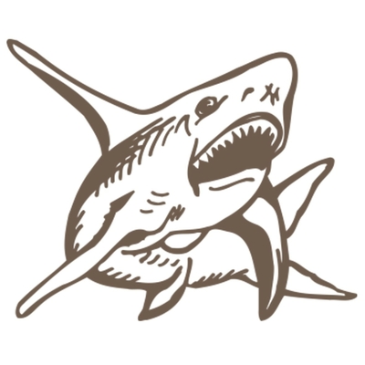 requin motif thermocollant