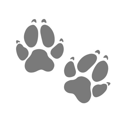 pattes chien motif thermocollant