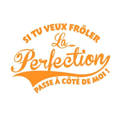 la perfection motif thermocollant