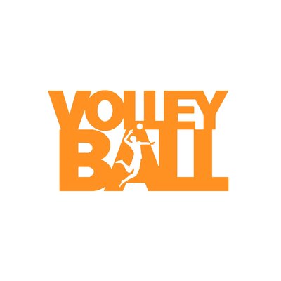 volley ball motif thermocollant