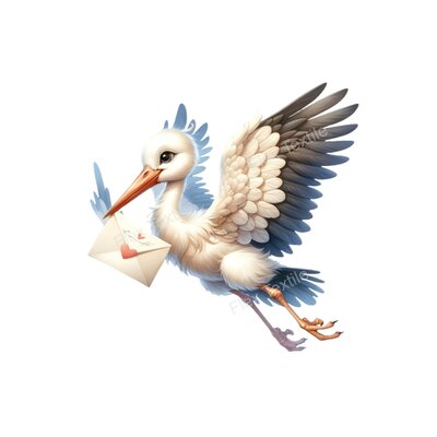 cigogne lettre transfert thermocollant impression dtf flex textile