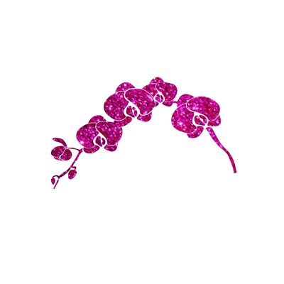 2057VFUP Branche Orchidée