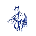 cheval crinière longue motif thermocollant