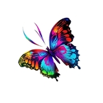 Papillon Impression Transfert DTF Flex Textile