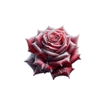 Rose givrée impression dtf flex textile