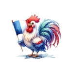 coq drapeau france impression dtf flex textile